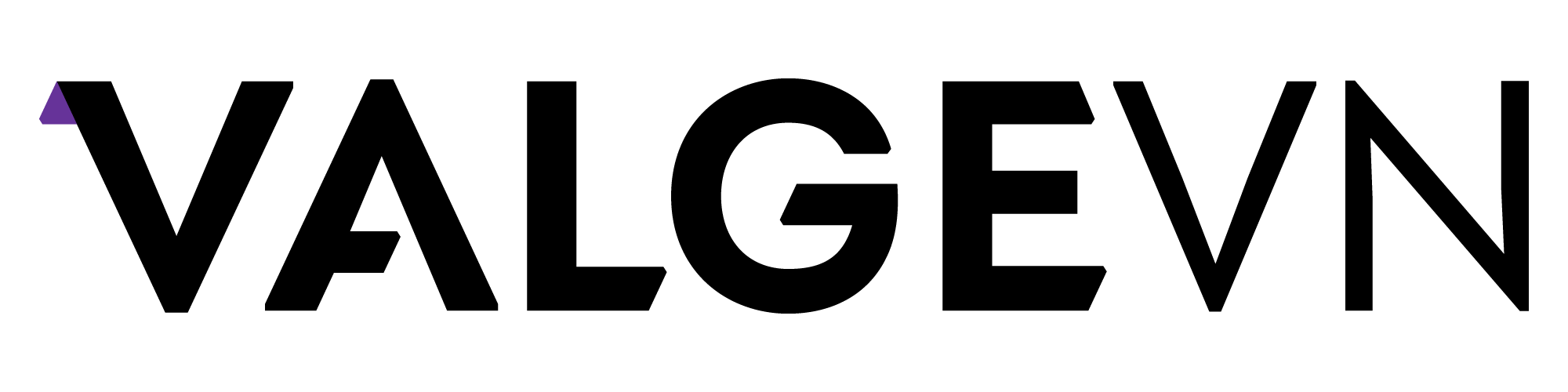 ValgeVN